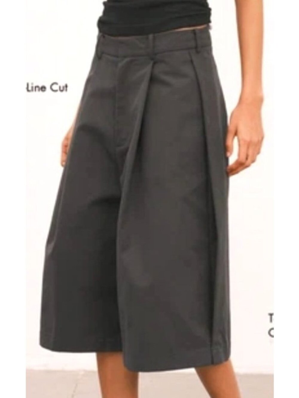 An Action A Day Women's Sz Large Preppy A-Line Cropped Pleated Wide-Leg Pants